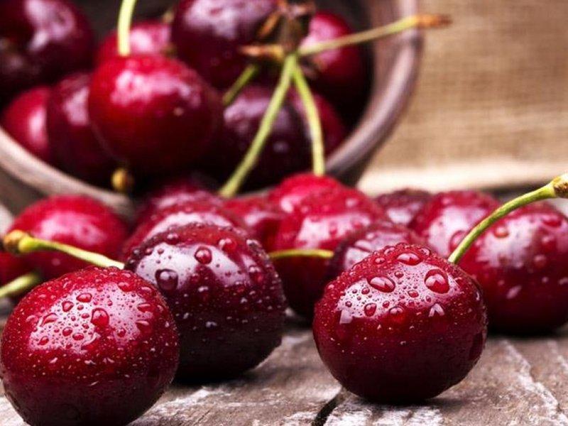 Вишня купить саженцы из питомника в Глазове